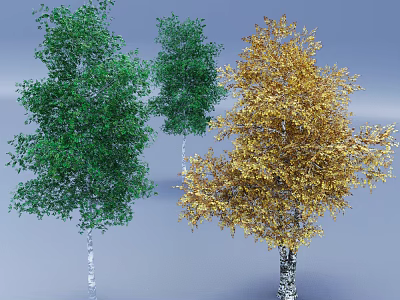Three Tall Arbors With Green And Golden Leaves And White Trunks 3d model