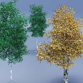 Three Tall Arbors With Green And Golden Leaves And White Trunks