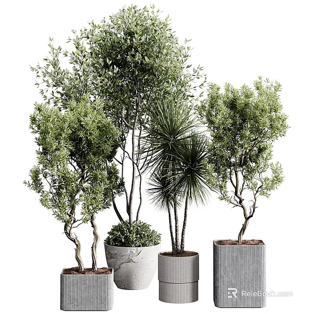 Various Bonsai Potted Plants With Green Leafy Foliage And Stylish Planters 3d model 