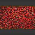 Fresh Red Strawberries Filled in Wooden Crate With Yellow Seeds On Dark Background
