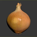Fresh Golden Yellow Onion With Shiny Smooth Surface Isolated On Black Background