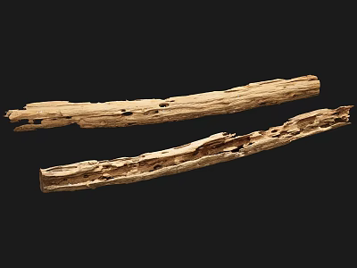 Modern Wood 3d model