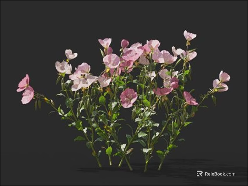 Pink and white flowers blooming with green stems and leaves on black background 3d model 