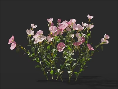 Pink and white flowers blooming with green stems and leaves on black background 3d model