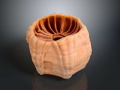 Unique Wooden Sculptural Bowl With Intricate Texture And Radial Interior Pattern 3d model