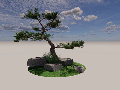 Pine Tree With Curved Trunk Green Foliage And Stones On Grass Under Blue Sky 3d model