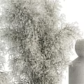 White and Green Textured Vases With Dried Flowers In Various Shapes For Home Decor