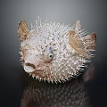 Aquatic Pufferfish With Spiky Exterior And Prominent Eyes On Reflective Surface