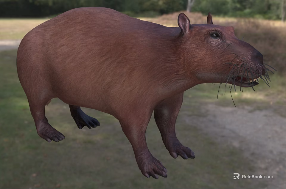 Massive Brown Reptile Featuring Thick Limbs In Natural Outdoor Area 3d model 