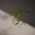 Gray Vase with Branch and Green Leaves Against Light Colored Wall with Sunlight Shadow