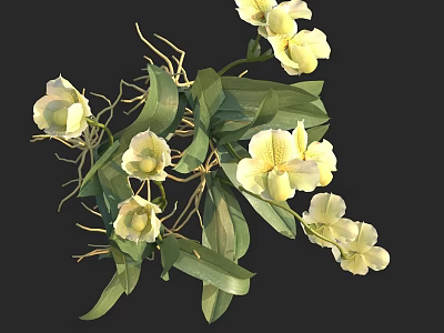 Blooming Yellow Orchids With Green Leaves And Fresh Stems Vibrant Floral Arrangement 3d model