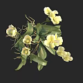 Blooming Yellow Orchids With Green Leaves And Fresh Stems Vibrant Floral Arrangement