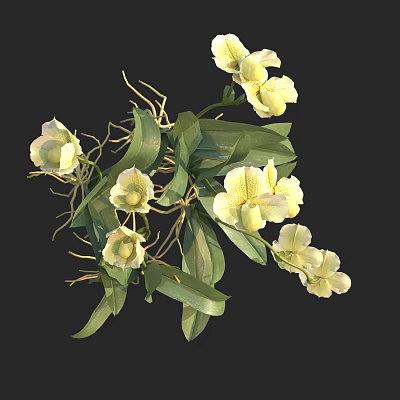 Blooming Yellow Orchids With Green Leaves And Fresh Stems Vibrant Floral Arrangement 3d model