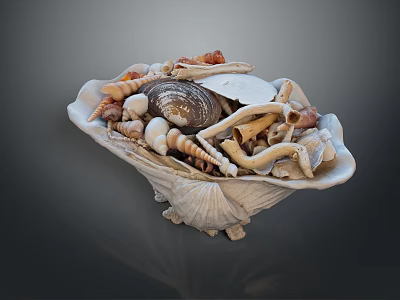 Collection of Aquatic Animal Shells Including Conch Shells in Decorative Seashell Container 3d model