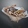 Modern Shell Sea Shell Sea Shell Sea Shell Sea Products 3d model