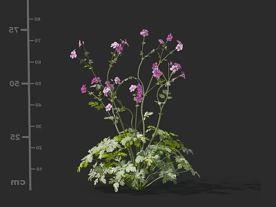 Vibrant Purple Flowers With Green Leaves And Lush Foliage In Natural Bloom 3d model