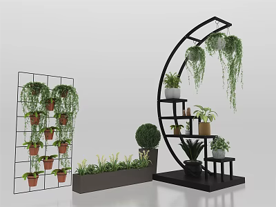 Potted Plants and Bonsai Display with Curved Shelf Grid Rack Hanging Greenery and Round Plants 3d model