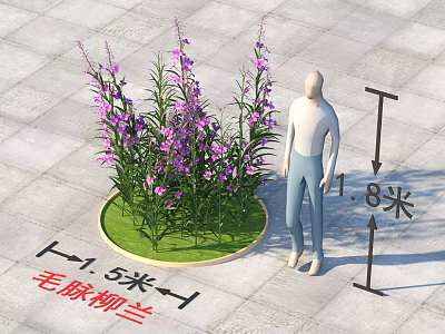 Decorative Commercial Landscaping Equipment with Willowherb Plant 1.5m Diameter 1.8m Height 3d model