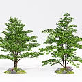 Two Green Leafy Trees With Stone Bases And Purple Plants In Landscape