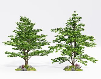 Modern tree landscape tree landscape plant tree 3d model