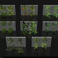 Green Indoor Plants On White Decorative Panels With Multiple Leaf Designs 3d model