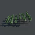 Multiple Green Trees Neatly Arranged With Shadows On Dark Background