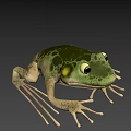 Green Frog Game Movie Character With Detailed Skin Texture And Natural Background