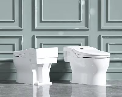 Two Modern White Toilets With Sleek Design In Bathroom With Decorative Paneled Wall 3d model