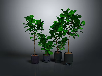 Four Green Potted Plants of Different Heights with Various Colored Pots on Dark Background 3d model
