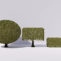 Pruned Green Shrubs with Round Square and Low Rectangular Shapes for Garden Landscape Design 3d model