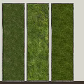 Vertical Living Plant Wall with Three Black Framed Panels for Indoor Decor