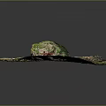 Vibrant Natural Terrain With Green Vegetation Rocky Outcrops And Varied Landforms