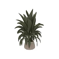 Lush Green Leaf Potted Plant with Large Foliage in White Ceramic Pot for Home Decor
