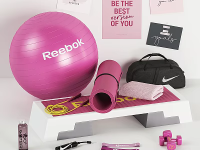 Fitness Equipment Set With Stability Ball Yoga Mat Dumbbells Gym Bag 3d model