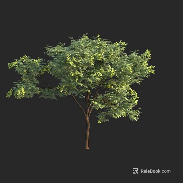 Lush Green Arbor With Dense Foliage And Brown Trunk Isolated On Dark Background 3d model 