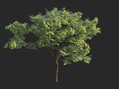 Lush Green Arbor With Dense Foliage And Brown Trunk Isolated On Dark Background 3d model