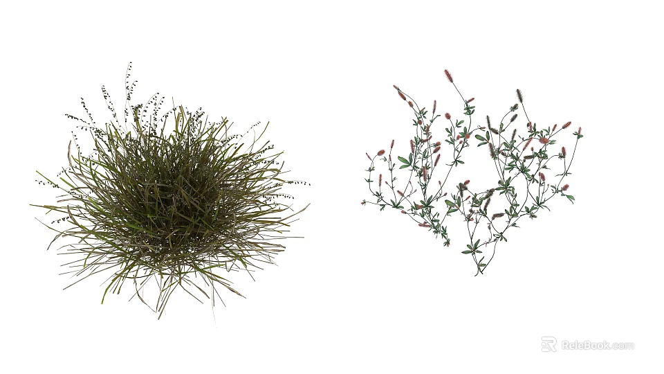 Dense Green Grass Tuft And Leafy Plants With Small Red Flowers Growing Naturally 3d model 