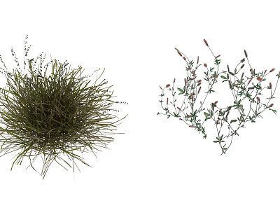 Dense Green Grass Tuft And Leafy Plants With Small Red Flowers Growing Naturally 3d model