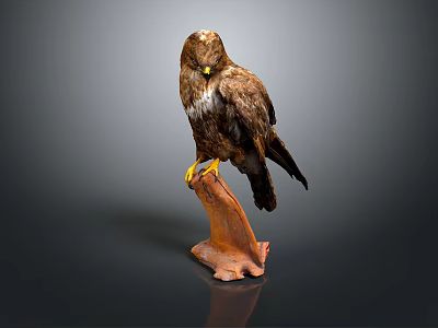 Majestic Eagle Perched On Wooden Stand As Detailed Flight Animal Sculpture 3d model