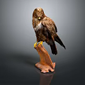 Majestic Eagle Perched On Wooden Stand As Detailed Flight Animal Sculpture