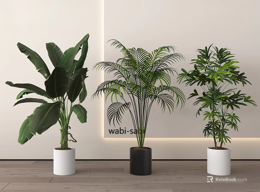 Bonsai Potted Plants With Green Leafy Varieties In White Black Pots Wabi Sabi Indoor Decor 3d model 
