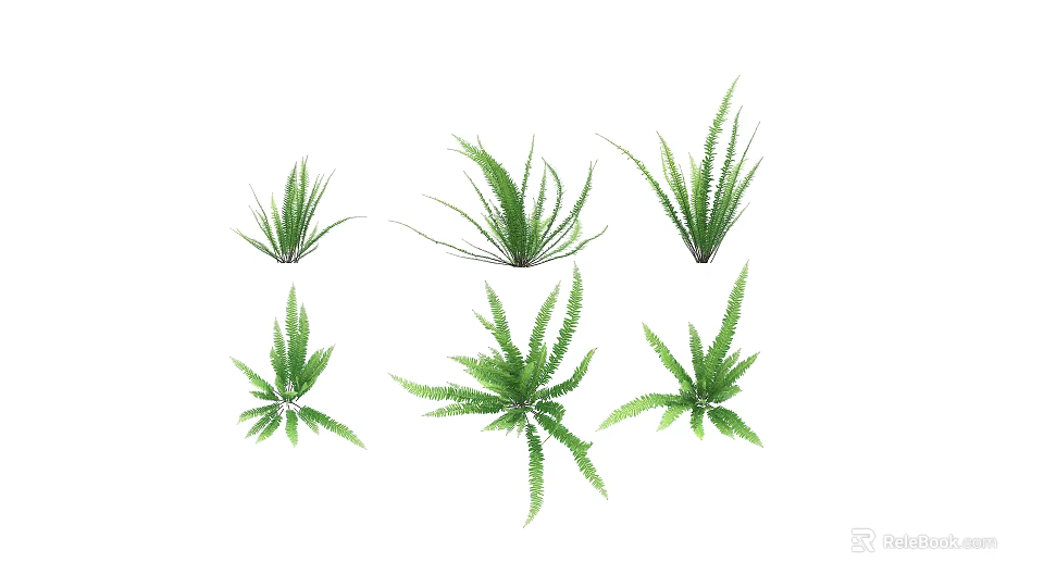 Various Green Plants With Fresh Foliage For Indoor Decoration And Design 3d model