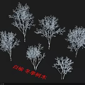 White Nanmu Arbor Winter Trees With Leafless Branches And Natural Shape 3d model