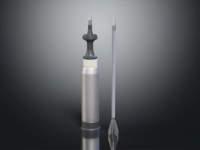 Military Weapon Including Silver Cylindrical Missile Pointed Tip And Slender Scaled Component 3d model
