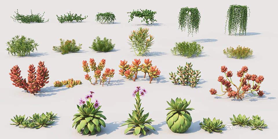 Colorful Succulent And Green Plants With Red Green Purple Flowers And Leaves On White Background 3d model 