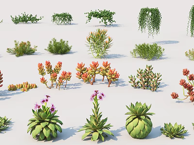 Colorful Succulent And Green Plants With Red Green Purple Flowers And Leaves On White Background 3d model
