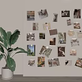 Decorative Photo Wall With Various Photos And Cards Near A Large Green Plant