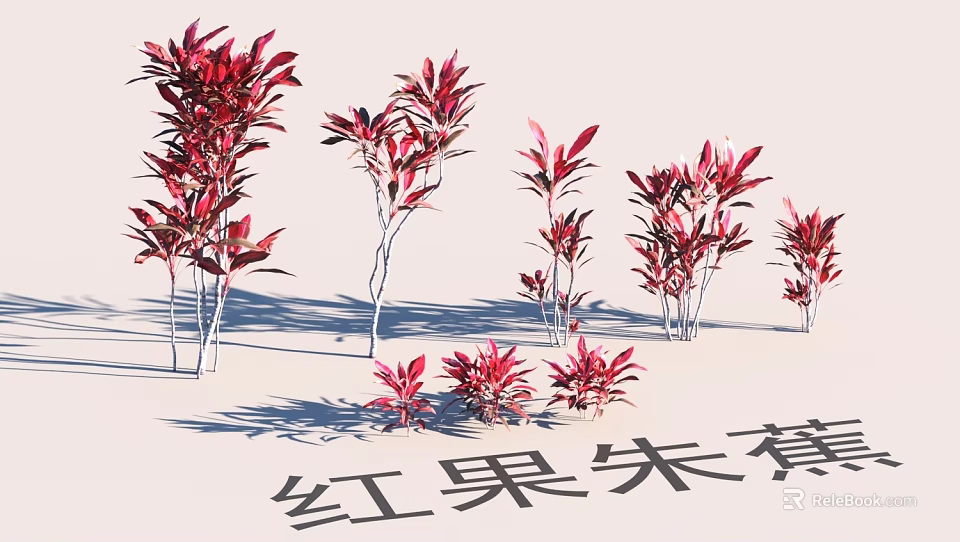 Ornamental Red Fruit Cordyline Plants in Garden Landscape with Colorful Foliage 3d model 