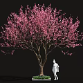 Pink Flowering Tree with White Base and Green Plants Near Human Figure Sculpture