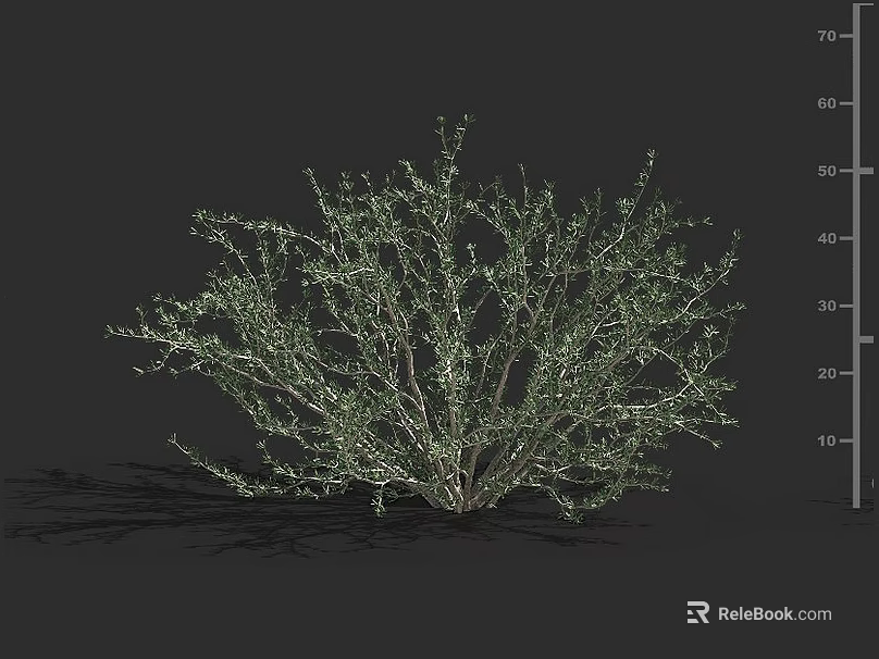 Green Leafy Bush With Dense Branches Ideal For Garden Landscaping Projects 3d model